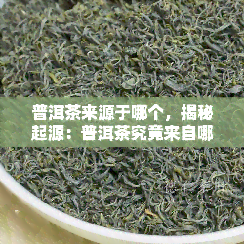 普洱茶来源于哪个，揭秘起源：普洱茶究竟来自哪个？