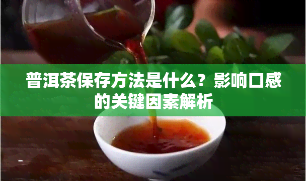 普洱茶保存方法是什么？影响口感的关键因素解析