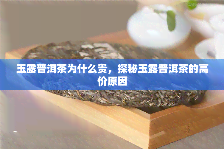 玉露普洱茶为什么贵，探秘玉露普洱茶的高价原因