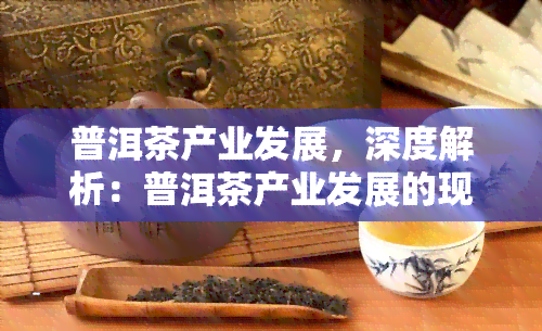 普洱茶产业发展，深度解析：普洱茶产业发展的现状与前景