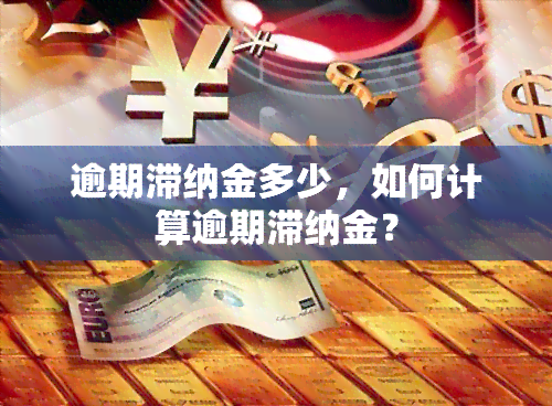 逾期滞纳金多少，如何计算逾期滞纳金？