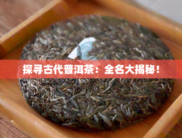 探寻古代普洱茶：全名大揭秘！