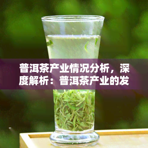 普洱茶产业情况分析，深度解析：普洱茶产业的发展现状与前景