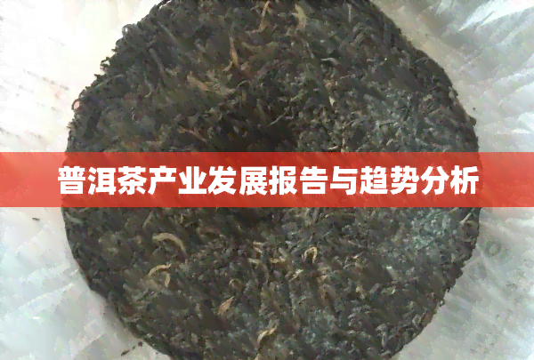 普洱茶产业发展报告与趋势分析