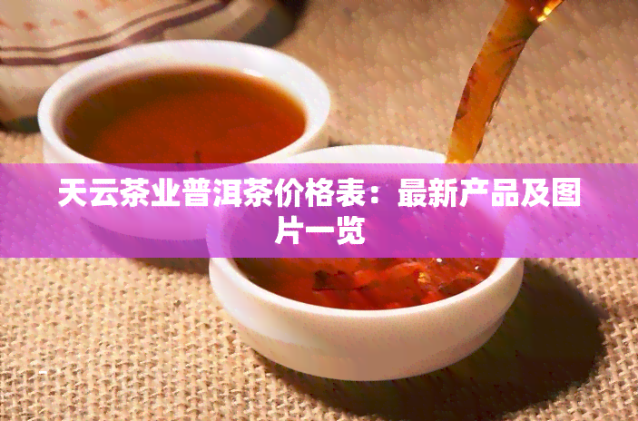 天云茶业普洱茶价格表：最新产品及图片一览