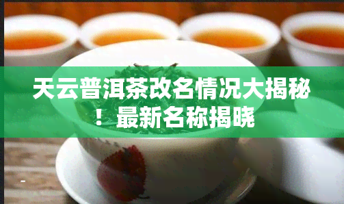 天云普洱茶改名情况大揭秘！最新名称揭晓