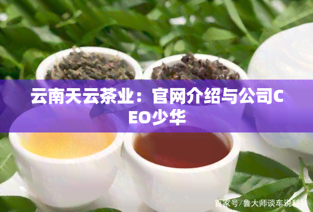 云南天云茶业：官网介绍与公司CEO少华