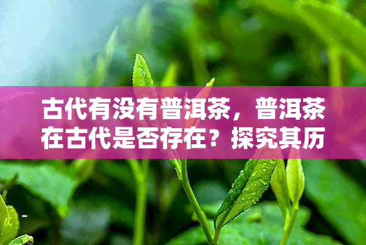 古代有没有普洱茶，普洱茶在古代是否存在？探究其历渊源与文化价值