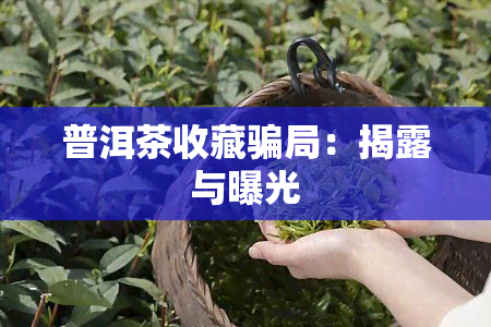 普洱茶收藏骗局：揭露与曝光