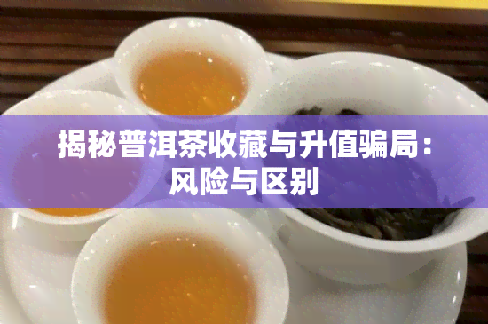 揭秘普洱茶收藏与升值骗局：风险与区别