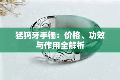 猛犸牙手镯：价格、功效与作用全解析