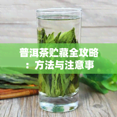 普洱茶贮藏全攻略：方法与注意事