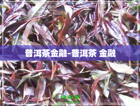 普洱茶金融-普洱茶 金融