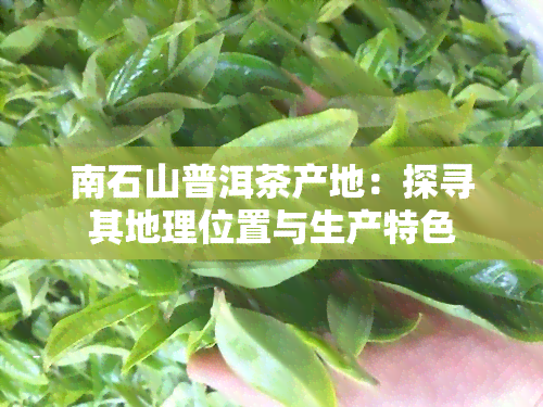 南石山普洱茶产地：探寻其地理位置与生产特色