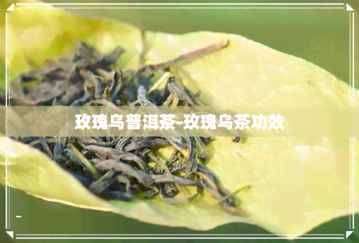 玫瑰乌普洱茶-玫瑰乌茶功效