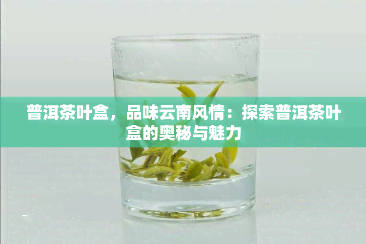 普洱茶叶盒，品味云南风情：探索普洱茶叶盒的奥秘与魅力