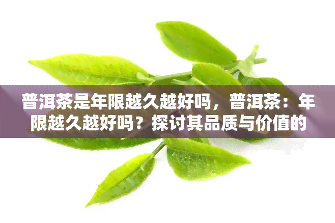 普洱茶是年限越久越好吗，普洱茶：年限越久越好吗？探讨其品质与价值的关系