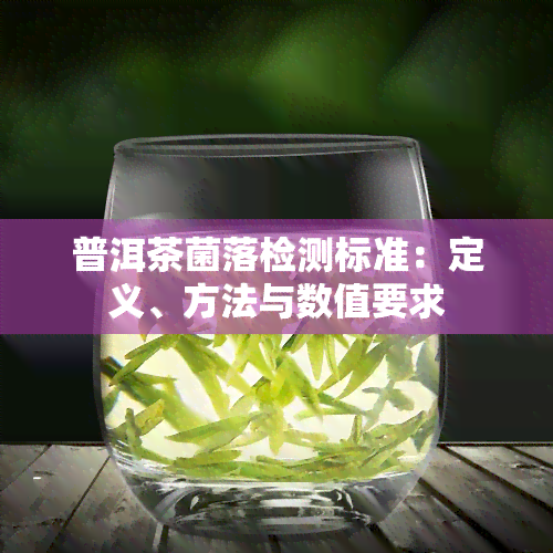 普洱茶菌落检测标准：定义、方法与数值要求