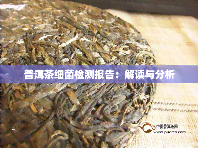 普洱茶细菌检测报告：解读与分析