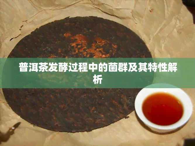 普洱茶发酵过程中的菌群及其特性解析