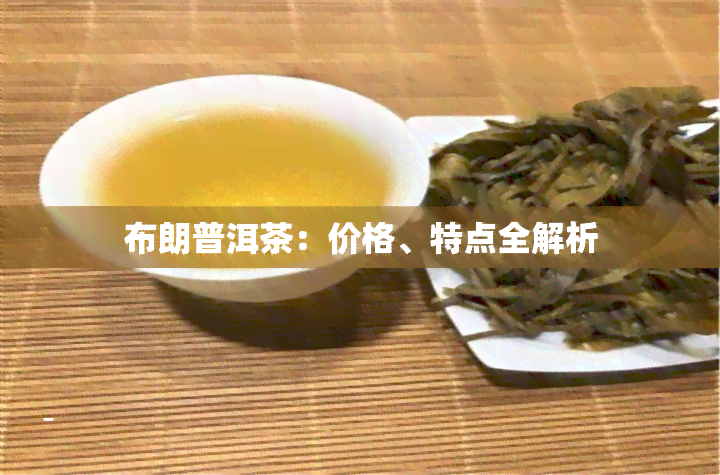 布朗普洱茶：价格、特点全解析