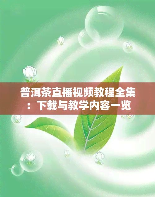 普洱茶直播视频教程全集：下载与教学内容一览