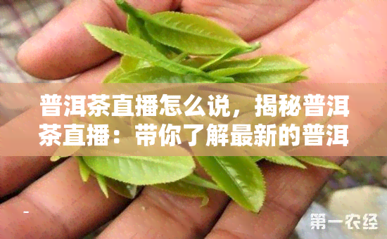 普洱茶直播怎么说，揭秘普洱茶直播：带你了解最新的普洱茶市场动态和品鉴技巧