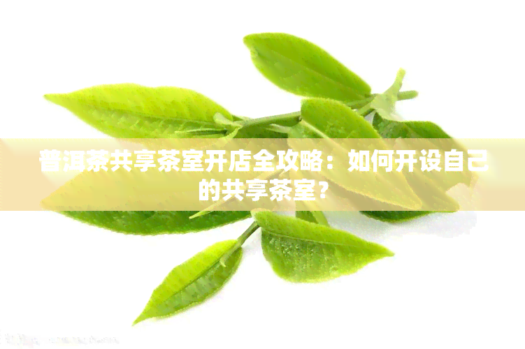 普洱茶共享茶室开店全攻略：如何开设自己的共享茶室？