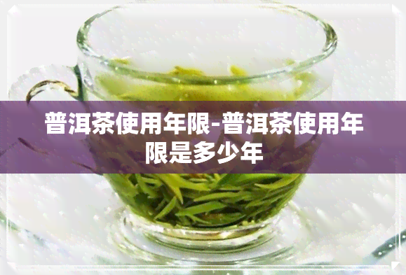 普洱茶使用年限-普洱茶使用年限是多少年