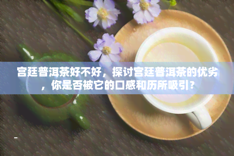 宫廷普洱茶好不好，探讨宫廷普洱茶的优劣，你是否被它的口感和历所吸引？