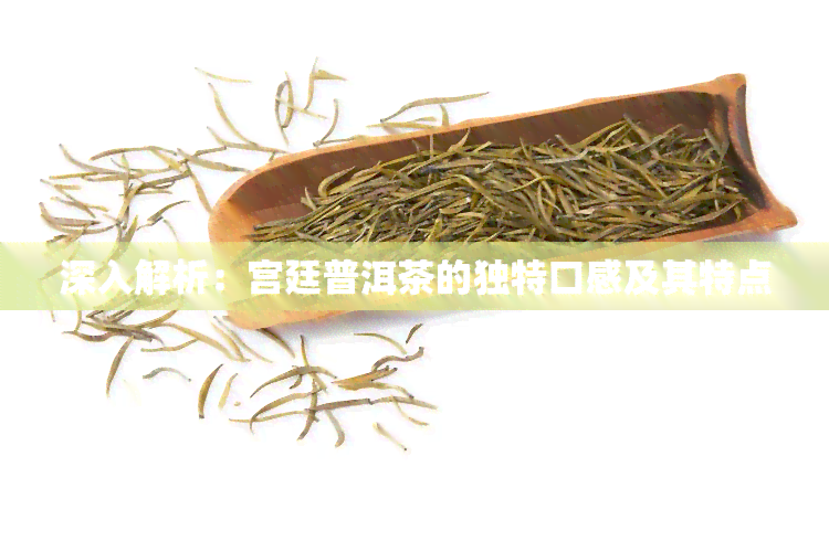 深入解析：宫廷普洱茶的独特口感及其特点