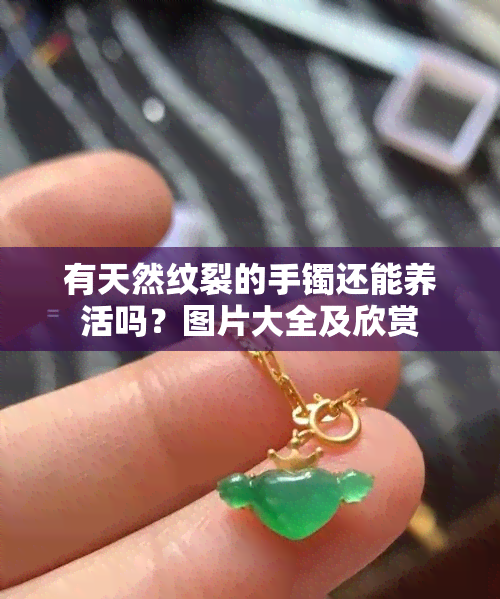 有天然纹裂的手镯还能养活吗？图片大全及欣赏