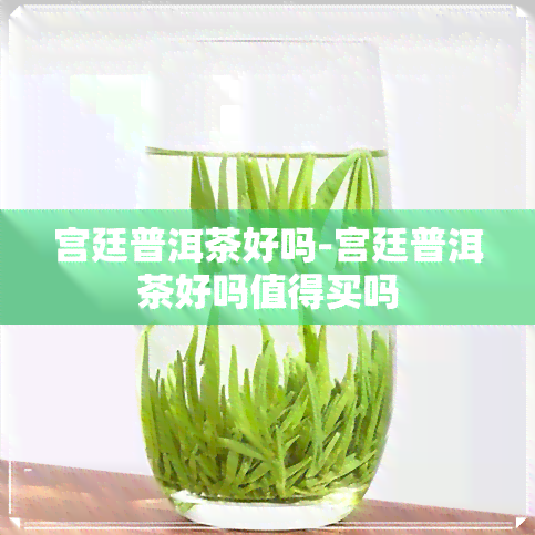 宫廷普洱茶好吗-宫廷普洱茶好吗值得买吗