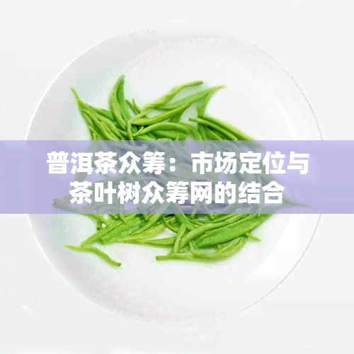 普洱茶众筹：市场定位与茶叶树众筹网的结合