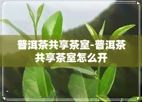 普洱茶共享茶室-普洱茶共享茶室怎么开