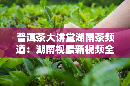 普洱茶大讲堂湖南茶频道：湖南视最新视频全集