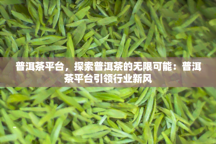 普洱茶平台，探索普洱茶的无限可能：普洱茶平台引领行业新风