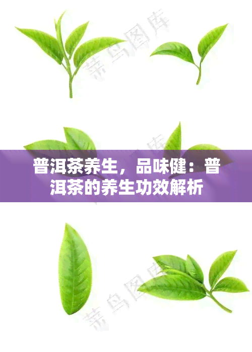 普洱茶养生，品味健：普洱茶的养生功效解析