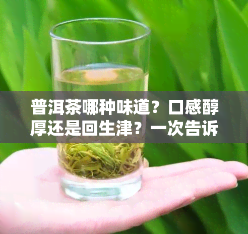 普洱茶哪种味道？口感醇厚还是回生津？一次告诉你！