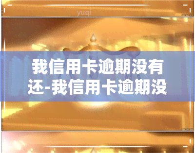 我信用卡逾期没有还-我信用卡逾期没有还,去办理身份证可以吗