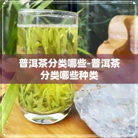 普洱茶分类哪些-普洱茶分类哪些种类