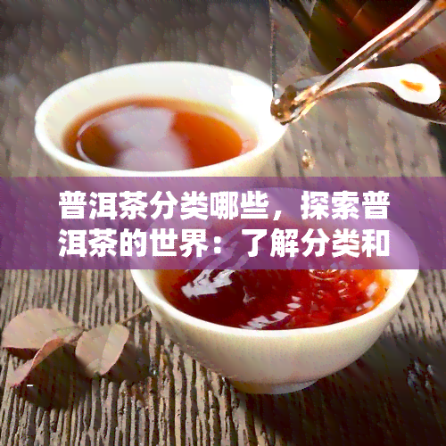 普洱茶分类哪些，探索普洱茶的世界：了解分类和品种