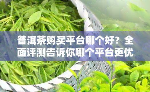 普洱茶购买平台哪个好？全面评测告诉你哪个平台更优！