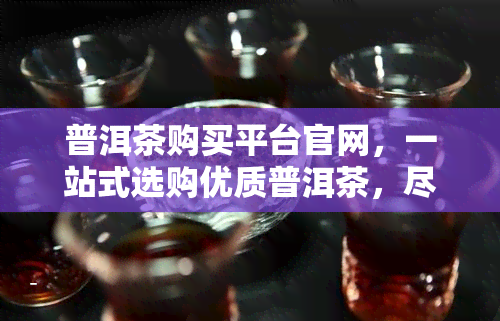 普洱茶购买平台官网，一站式选购优质普洱茶，尽在官方购买平台！