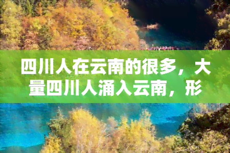 四川人在云南的很多，大量四川人涌入云南，形成独特的人口迁移现象