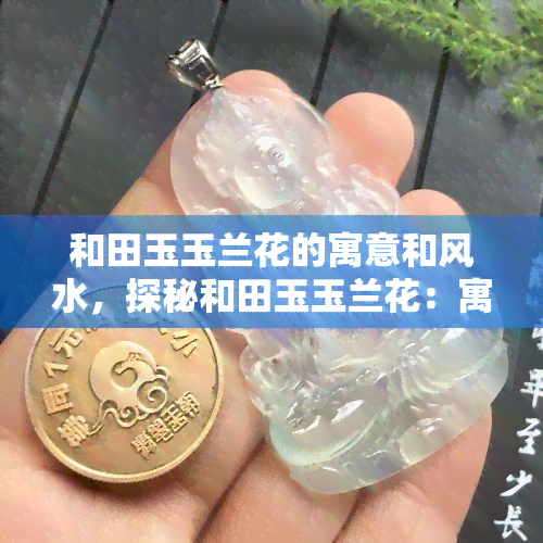 和田玉玉兰花的寓意和风水，探秘和田玉玉兰花：寓意与风水解析