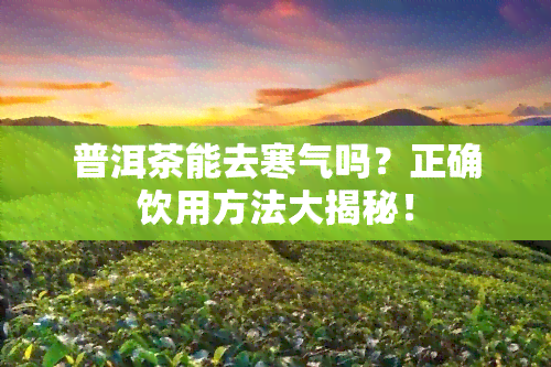 普洱茶能去寒气吗？正确饮用方法大揭秘！