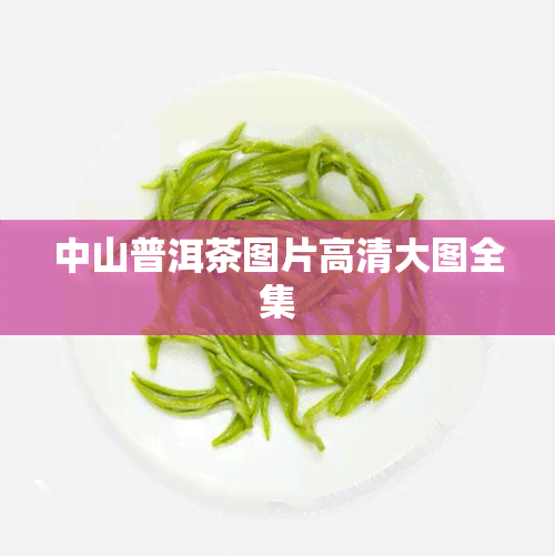 中山普洱茶图片高清大图全集