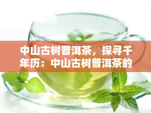 中山古树普洱茶，探寻千年历：中山古树普洱茶的魅力与价值