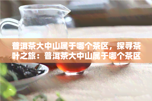 普洱茶大中山属于哪个茶区，探寻茶叶之旅：普洱茶大中山属于哪个茶区？